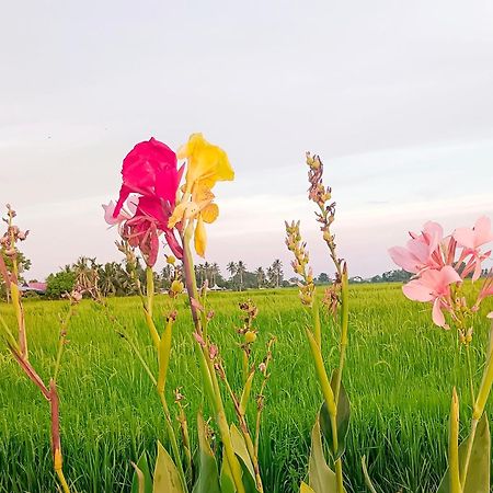 Kurau Inn Farmstay Kuala Kurau Kültér fotó
