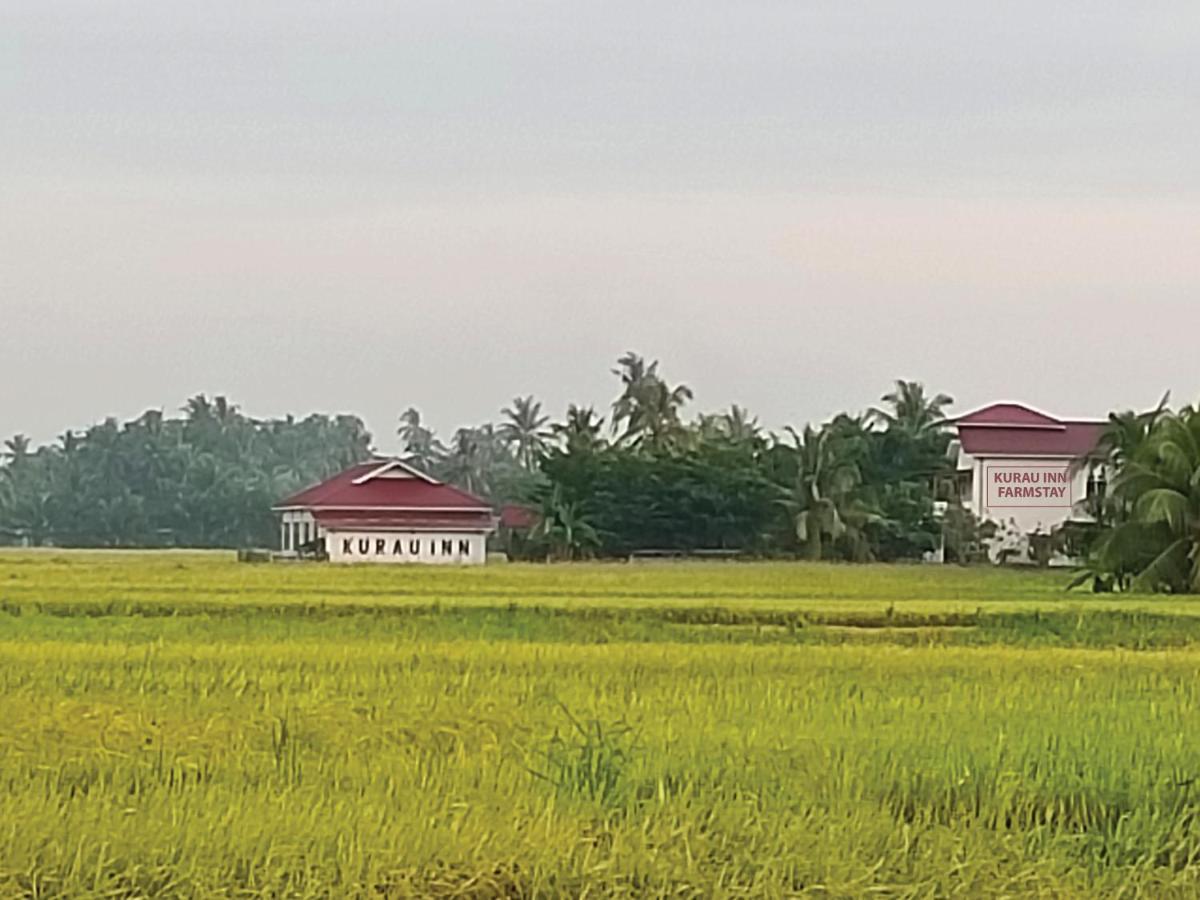 Kurau Inn Farmstay Kuala Kurau Kültér fotó